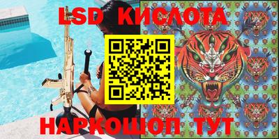 эйфоретик Кингисепп