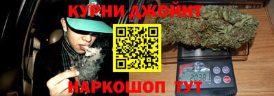 индика Кинель