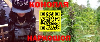 индика Кинель
