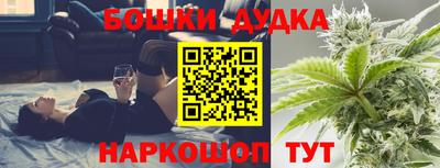 эйфоретик Кингисепп