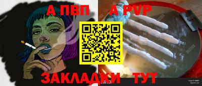 эйфоретик Кингисепп