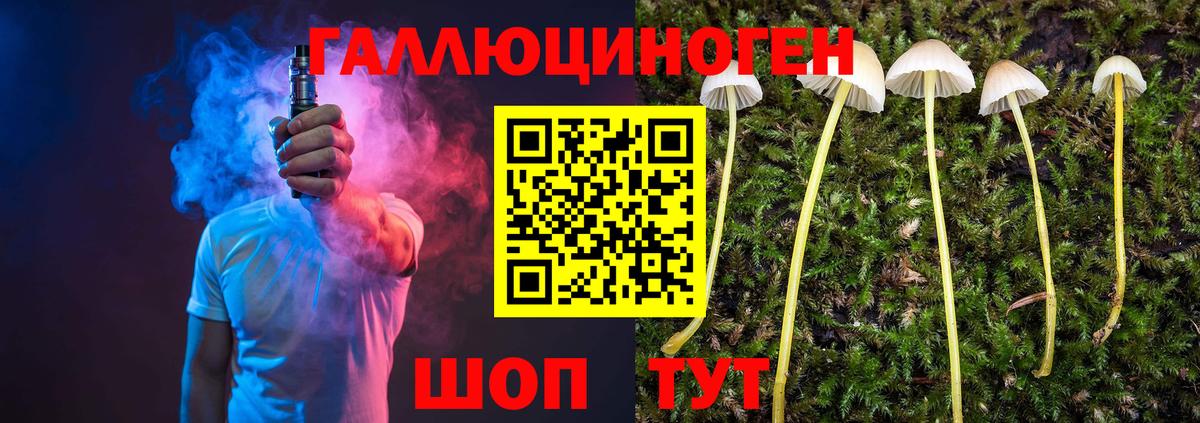 Псилоцибиновые грибы Cubensis Вичуга