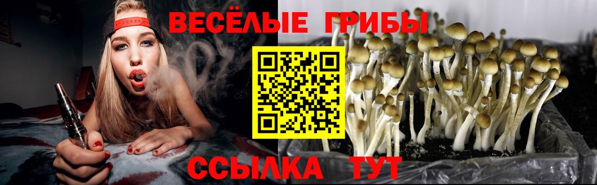 Вичуга  Псилоцибиновые грибы мицелий  хочу наркоту  Вход с VPN 